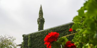 İyi bir Müslüman neden çevre dostu olmalı?