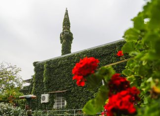 İyi bir Müslüman neden çevre dostu olmalı?