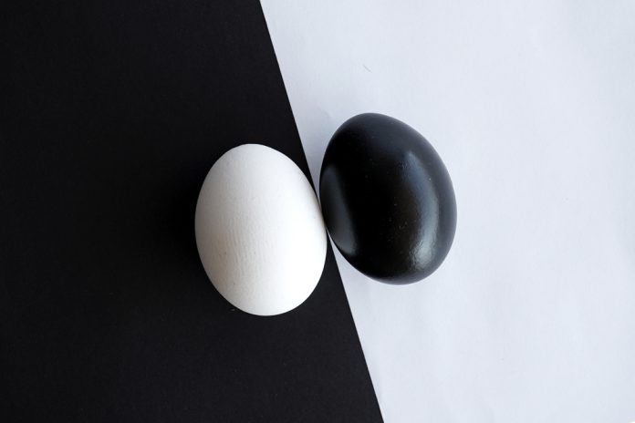 13062022 ırkçılık