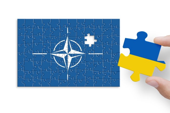 Puzzle,Made,From,Nato,And,Ukraine,Flags.,Relations,Between,Nato