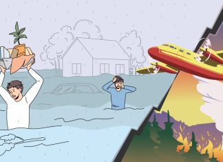 Yaz, sel, orman yangını: Afetler kaçınılmaz mı?