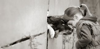 Merhamet neden gerekli ve nasıl öğrenilebilir?