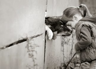 Merhamet neden gerekli ve nasıl öğrenilebilir?