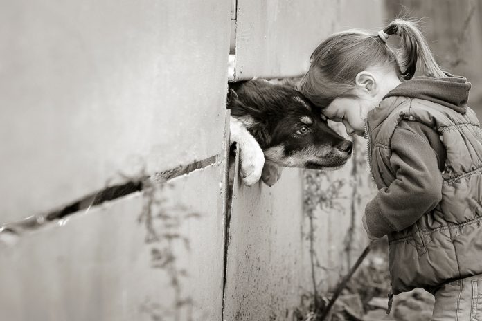 16012024 Merhamet neden gerekli ve nasıl öğrenilebilir?