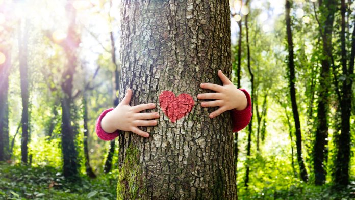 Tree,Hugging,-,Love,Nature,-,Child,Hug,The,Trunk