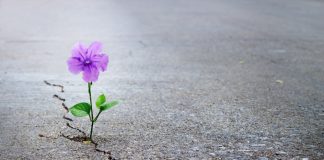 Dünyaya rağmen umutlu olmak mümkün mü?