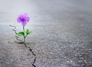 Dünyaya rağmen umutlu olmak mümkün mü?