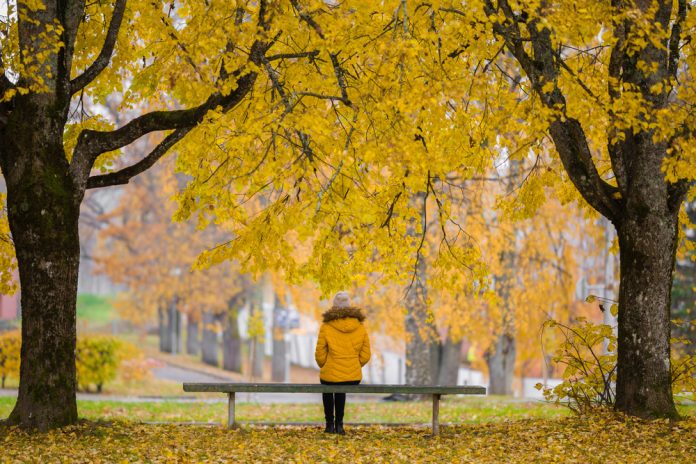 Young,Woman,In,Yellow,Jacket,Sitting,Alone,On,Bench,Between gençler