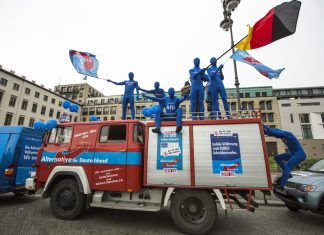 Avrupa’da aşırı sağ: Almanya için Alternatif Partisi hangi çizgide duruyor?