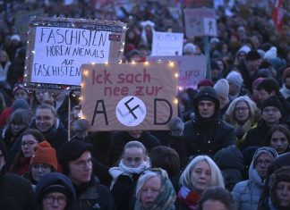 Alman demokrasisinin radikal sağ ile zorlu imtihanı