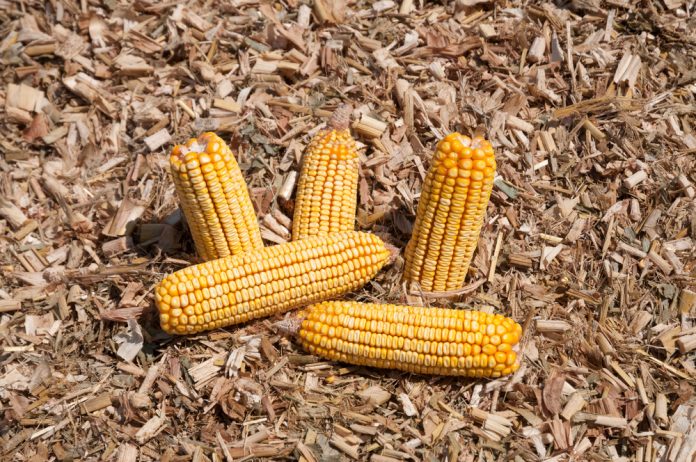 Food,Crisis,From,Global,Warming