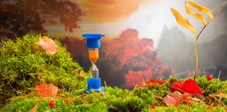 Yeni saatleri ayarlama enstitüsü: Doğa