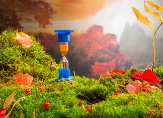 Yeni saatleri ayarlama enstitüsü: Doğa