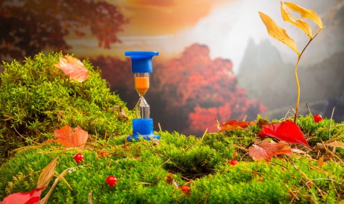 Podium,Background,With,Autumn,Mood.,Green,Moss,And,Hourglass,On Yeni saatleri ayarlama enstitüsü: Doğa