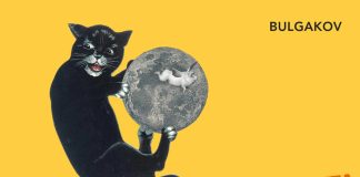 İçinden kedi geçen hikâyeler