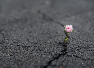 Öldürmeyen güçlendirir: Ruhsal dayanıklılık nedir ve nasıl gelişir?