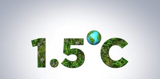 İklim krizi: 1,5°C hakkında her şey