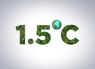 İklim krizi: 1,5°C hakkında her şey