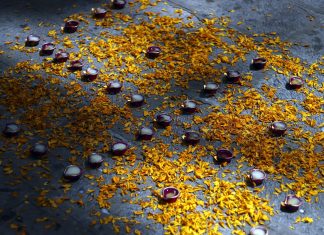 Avrupa sağ-popülizminin pagan hevesleri: İslâm karşıtlığına ivme mi?