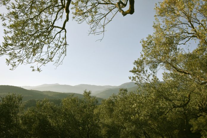 Kazdaglarinin-goz-ardi-edilen-hazinesi