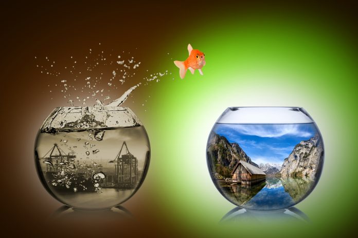 Fish,Rethink,And,Change,Concept Sorunlarınız hayatınızı tamamen karartmasın. Peki ama nasıl?