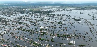 Yeşil adalet: Doğaya karşı işlenen savaş suçlarında hesap zamanı mı?