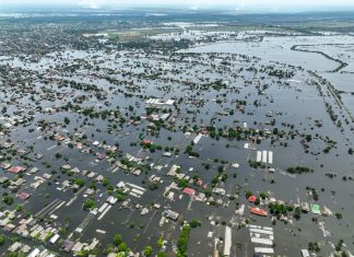 Yeşil adalet: Doğaya karşı işlenen savaş suçlarında hesap zamanı mı?