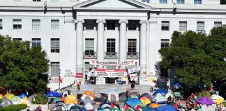 ABD üniversitelerinde Gazze protestoları: Öğrenciler ne istiyor?