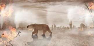 Geleceğimizi “kıyamet iyimserliği” kurtarabilir mi?