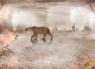 Geleceğimizi “kıyamet iyimserliği” kurtarabilir mi?