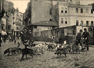 Osmanlı’da hayvan hakları: Benzersiz şefkatten zulme