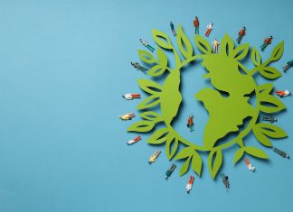 “Yeşil Barış” için önümüzdeki fırsat ne?