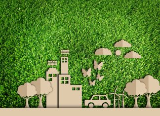 Nasıl yeşil kent olunur?
