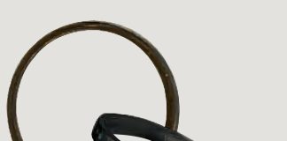 1960 darbesi sonrası Alyans Kampanyası