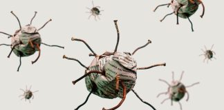 Yalan haberden kaçınmanın 7 yolu