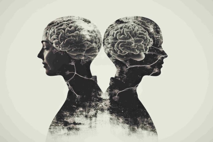 IMG_9666 kadın beyni