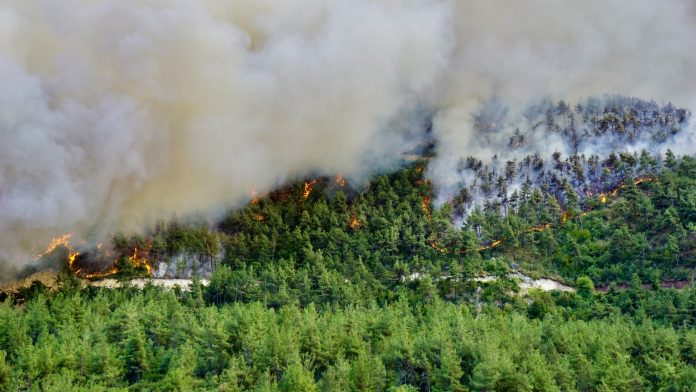 a2a67d62-ecd8-46d2-9222-dea894a9bc8f