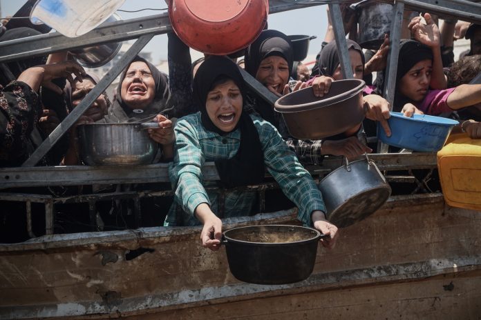 e5688a44-c978-41a4-90de-42bbb706fe69