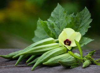 türk mutfağı bamya