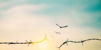 mücadele teslimiyet