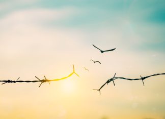 mücadele teslimiyet