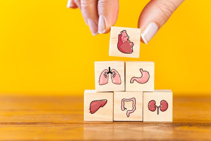 10092025 uzun yaşamak