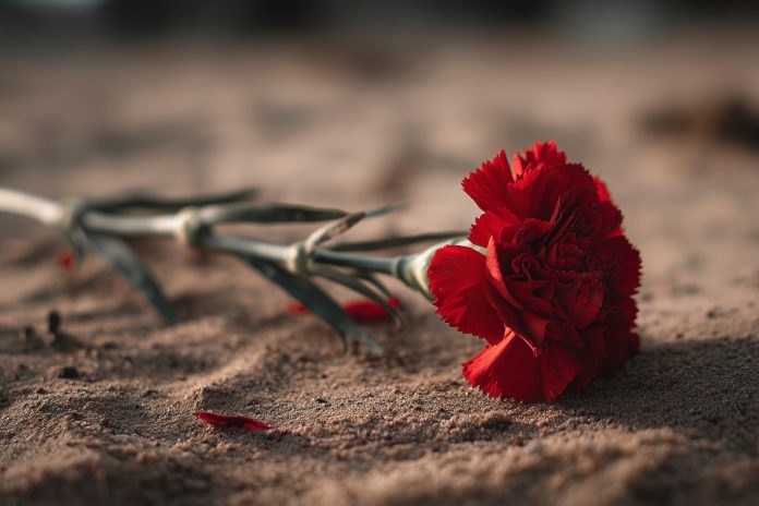 4dcec9d1-8d96-4734-89d6-5dd607dabd93