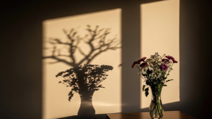 e7fad6d7-1544-43ac-b206-6f1259bf0a06