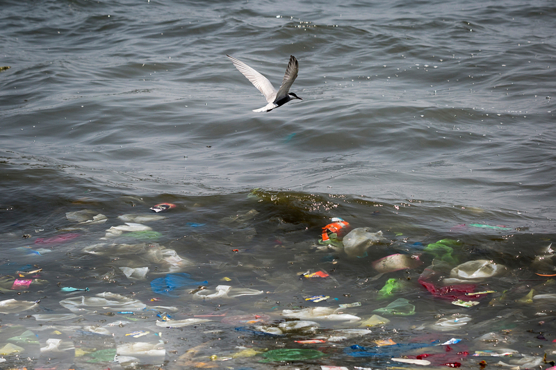 Nükleer atık kadar büyük tehlike: Plastik çöpler ve Türkiye