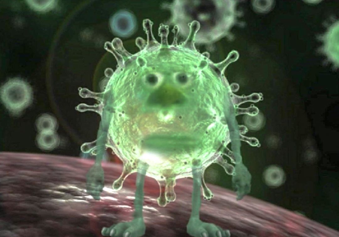 Yedinci koronavirüsün portresi