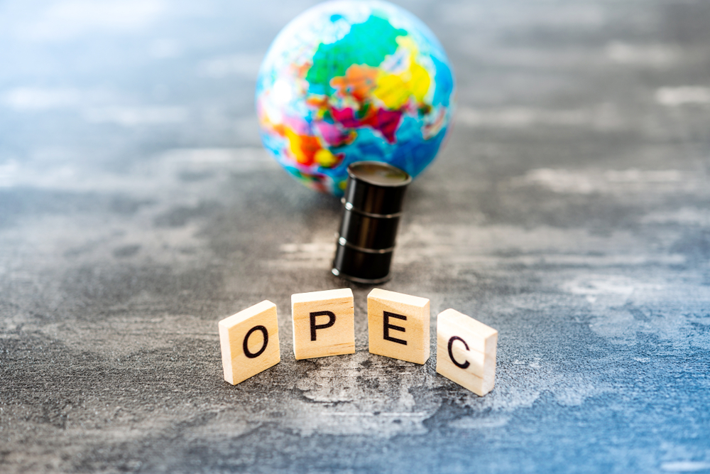 OPEC+‘ın kararının anlamı ne?