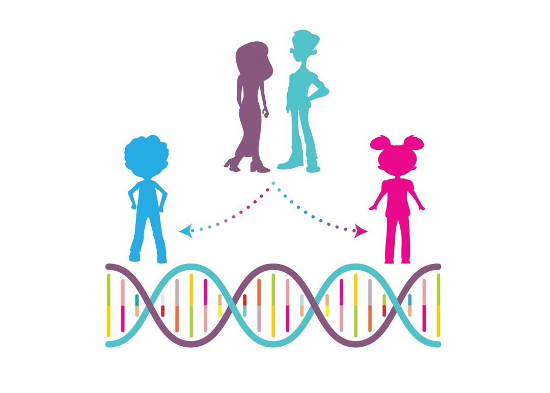 Genler, kilo, eğitim arasındaki ilişki: Yeni araştırmalar bambaşka bir gerçeğe işaret ediyor