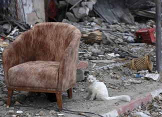 Uluslararası hukuk İsrail sömürgeciliğini örtbas etmek için nasıl kullanılıyor?