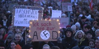 Alman demokrasisinin radikal sağ ile zorlu imtihanı